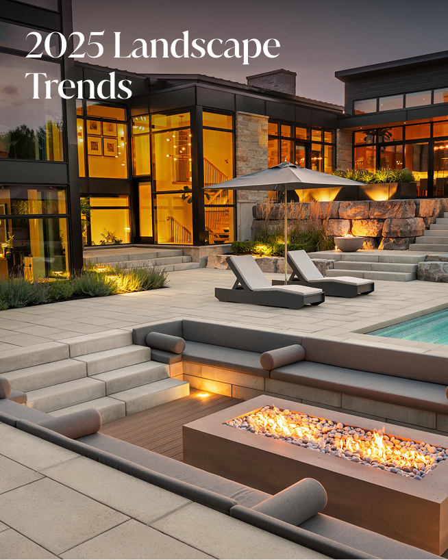 2025 Landscape Trends